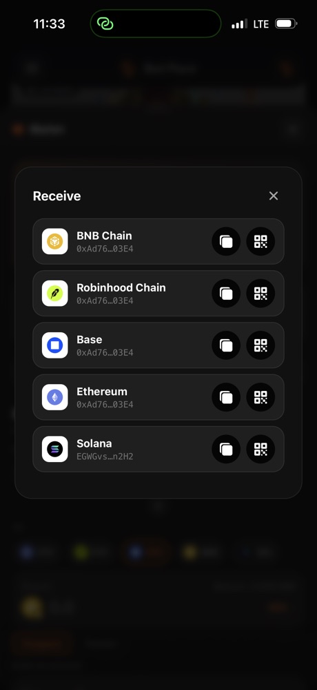 One address per chain, copy or QR.